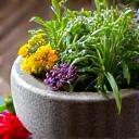 Mortero con hierbas y flores frescas, simbolizando la selección de ingredientes naturales.